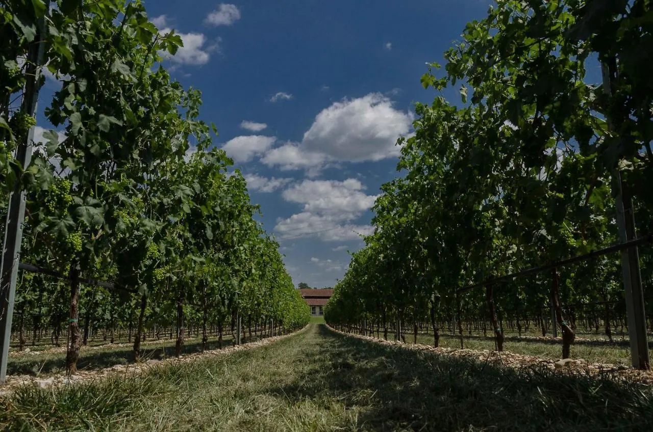 Vakantieboerderij Agriturismo Corte Ambrosio Pozzolengo